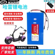 哈雷電動車60v12a20ah48v64v72v沃趣啟牛x7x9拆卸通用電瓶