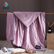 Washable Ice Silk Quilt Cool Summer Quilt Air Conditioning Quilt Thin Quilt Nap Quilt Single/Queen/K