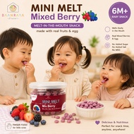 Mini Melt Mango Ban Raya 6m+ Baby Food Baan (6m+)