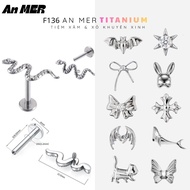 Titanium F136 Smooth Pattern Earrings - An MER