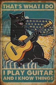 SKDLRZ Black Cat Thats What I Do I Play Guitar and I Know Things Metal Tin Sign Wall Art Deco Living