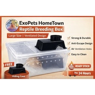 L Size Gecko Enclosure / Reptile Tank with Ventilation - Suitable for Leopard Gecko, Baby Bearded Dr