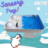 SENSORY TRAY PACKAGE SENSORY PLAY/ SENSORY BIN/