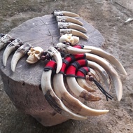 Kalimantan Dayak Fangs Necklace With Artificial Pig Fangs Variations