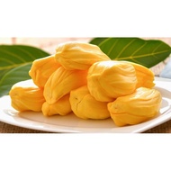 Pokok Nangka Madu J33 Hybrid