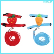 Leash Rabbits Bunny Cage Ferret Guinea Pig chenu