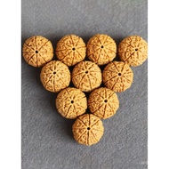 Bracelet Bracelet Eight-Petal Burst Meat Bracelet Turmeric Skin 7 Raw Seed Petal Six-Petal Nepal 6 S