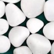 Batu Putih / White Stone XL Deco Stone Big White