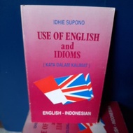 Use of english and Idioms (word in the sentence)