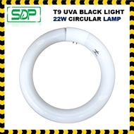 T9 22W 220V BL UVA BLACK LIGHT 22W CIRCULAR INSECT UV LAMP for BlueStar 30