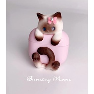 Burning moon Cat Earphone Case Creative AirPods Earphone Protective Case AirPodspro
