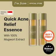 Buy 1 Get 1 Free: [Im from] Mugwort essence toner 160ml
