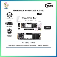 TeamGroup SSD MS30 M.2 2280 512GB SATA III TM8PS7512G0C101