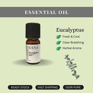 Eucalyptus Essential Oil 100 Pure and Natural Therapy Grade Eucalpytus radiata, SANA Aroma