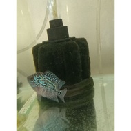 Kamfa F3 x CC size 6-7cm