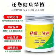 【Quick-Absorbing】SL Potassium Dihydrogen Phosphate Foliar Fertilizer For Plants Plant Growth Enhance