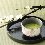 美濃燒-櫻花抹茶碗