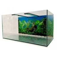 Aquarium Tank 2 feet standard (2ft*1ft*1ft)