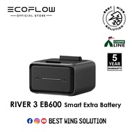 NEW I Ecoflow EB300/EB600 Extra Battery