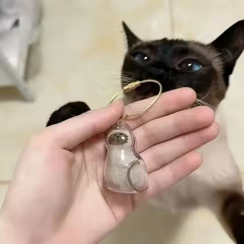 Cute Keychain Souvenir Transparent Cat Bag Hanging Decor Cat Hair Storage Box Commemorative Cat Keyc