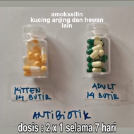 obat demam flu antibiotik dan luka kucing anjing