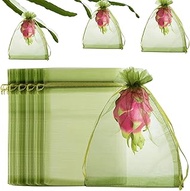100 Pcs Fruit Protection Bags, 6x9inch Fruit Netting Bags, Green Drawstring Mesh Bags Fruit Cover Pe