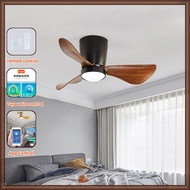 Ceiling Fans With Lights Bedroom 22 Inch Intelligent Ceiling Fans With LED Lights Restaurant Inverter Ceiling Fan Lights (TO) (TO)