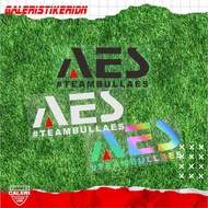 AES Team Sticker AES CUTTING StickerBULLAES