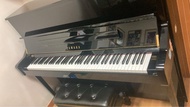 日本製Yamaha 鋼琴 西半山自取 只用1年
