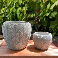 90s Greenovation (2 Sizes) Quality Aesthetic Concrete Pot with Leaf stripes 叶状水泥花盆