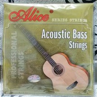 Acoustic Bass Strings - Steel Core