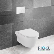 RIGEL Gallant Wall-hung Anti-Bacterial Toilet Bowl complete with Concealed Cistern R-WH9032BP-e [Bulky]