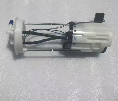 Original new Fuel Pump Assy for Foton tunland G7 P1110040101A0 P1110040102A0
