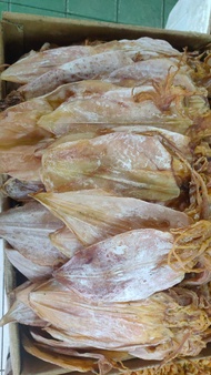Juhi Bangka Super 100gr / Cumi Kering / juhi bersih tanpa kulit