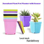 【LOCAL Buy5 free1】Succulent Plants Thick Square Plastic Flower Pot Plant Pot Planter with Saucer