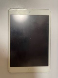 iPad mini 2