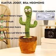 Mainan Kaktus Goyang Murah Bisa Rekam ada LED dan bisa di cas USB Charger Cactus Toy Boneka Pintar K