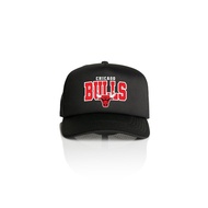 Mesh Hat Chicago Bulls Trucker Cap/