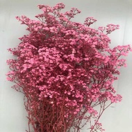 Preserved Flowers Gypsophila Gypsophila Dried Flowers Bouquet Red White Gypsophila