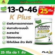 ยกลัง 25 กิโล🔥 | ปุ๋ยเกล็ด 13-0-46 ชาลีเฟรท ช่วยแตกตาดอก ดอกออกพร้อมกัน สร้างแป้ง สะสมอะหาร สร้างน้ำ