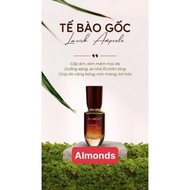 Tinh chất Tế Bào gốc LAVISH AMPOURE ALMONDS - Hàng chính hãng