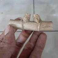 Bambu Petuk Koleksi Mirip Asli