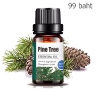 Aliztar 100% Pure Pine Tree Essential Oil ขนาด 10 มิล. น้ำมันหอมระเหยสนแท้ สำหรับอโรมาเทอราพี เตาอโรมา เครื่องพ่นไอน้ำ ผสมน้ำมันนวดผิว ทำเทียนหอม