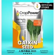 TOP RATED 🌟 (500 GRAM) Biji Benih Sawi Jumbo Green 绿珍 CX9 CROP POWER F1 HYBRID Caixin seeds  菜心种子 CX