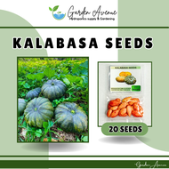 KALABASA (20pcs seeds) ROSALINDA F1 VARIETY/EASY TO GROW/ MORE HARVEST/ MORE INCOME