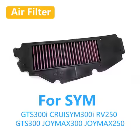 Motorcycle Accessories Intake Air Filter Cleaner For SYM GTS300i CRUISYM300i RV250 GTS300 JOYMAX300 