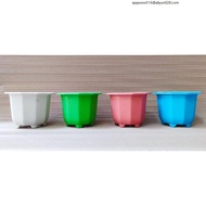 plastic pots for plants wholesale big size ✸10 PcsSet Polygon Pot 4-5-6 Plastic Plant Pot  Makapal  Murang Paso  Thick Durable☞