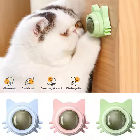 Catnip Healthy Nutrition Pasted Lollipop Cat Supplies Mint On The Wall Kitten Energy Ball Candy Snac