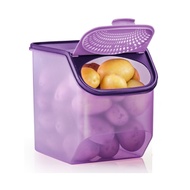 Tupperware Garlic N All Keeper 3L/5.5L(1pc) Tupperware Container