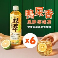 雙萃鴨屎香風味檸檬茶 500ml x 6支